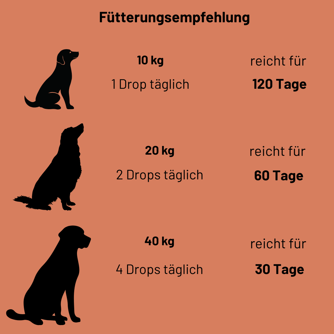 Funktionale Drops Bewegungsliebe