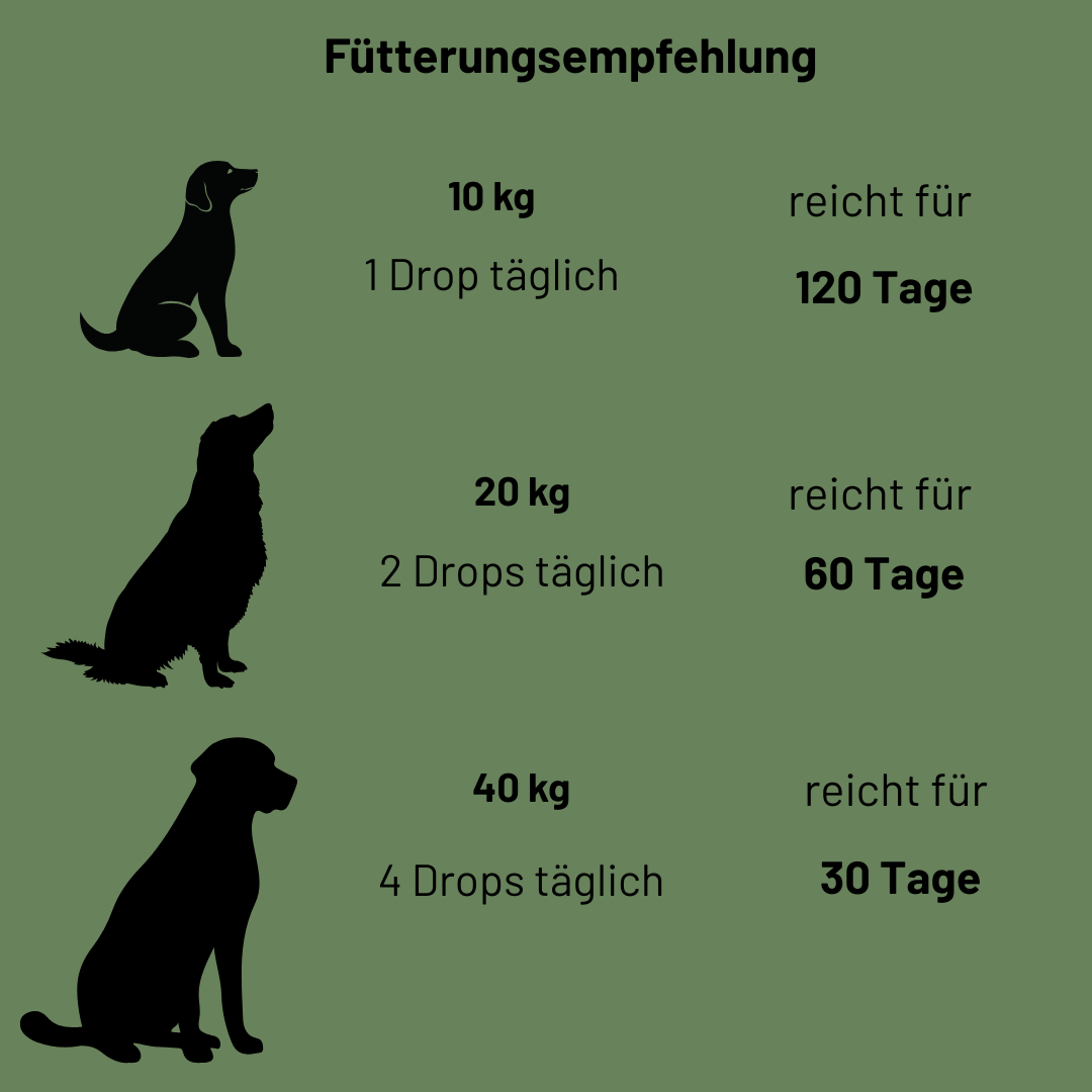 Darmschmeichler Bundle