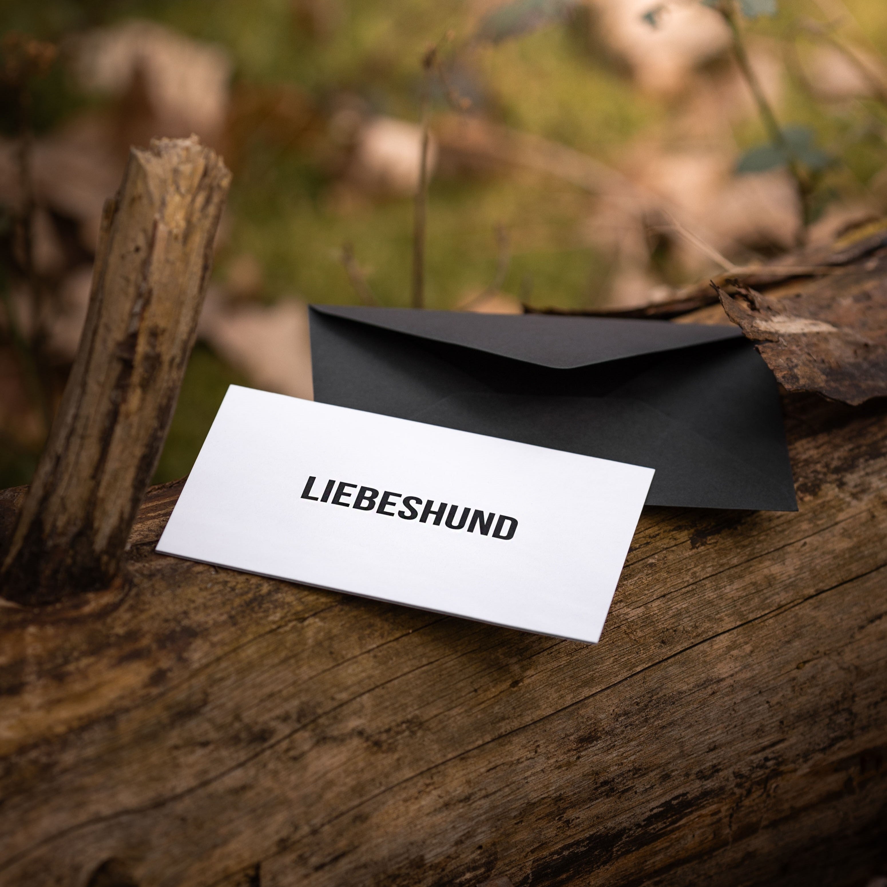 LIEBESHUND_GUTSCHEIN