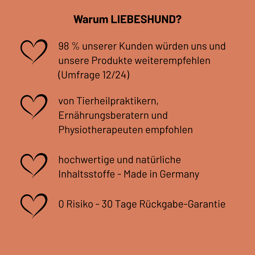 Bewegungsfreiheit Bundle