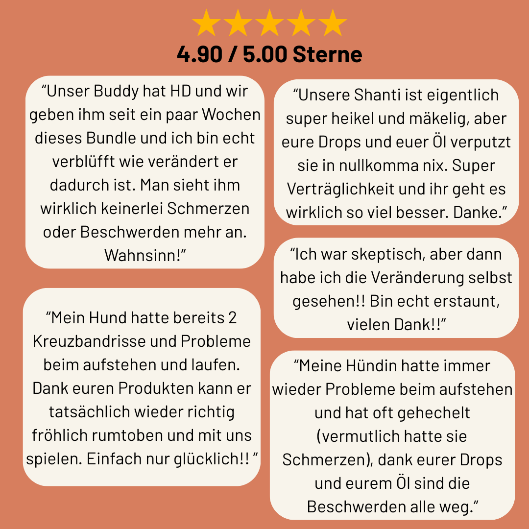 Wohlfühl-Bundle