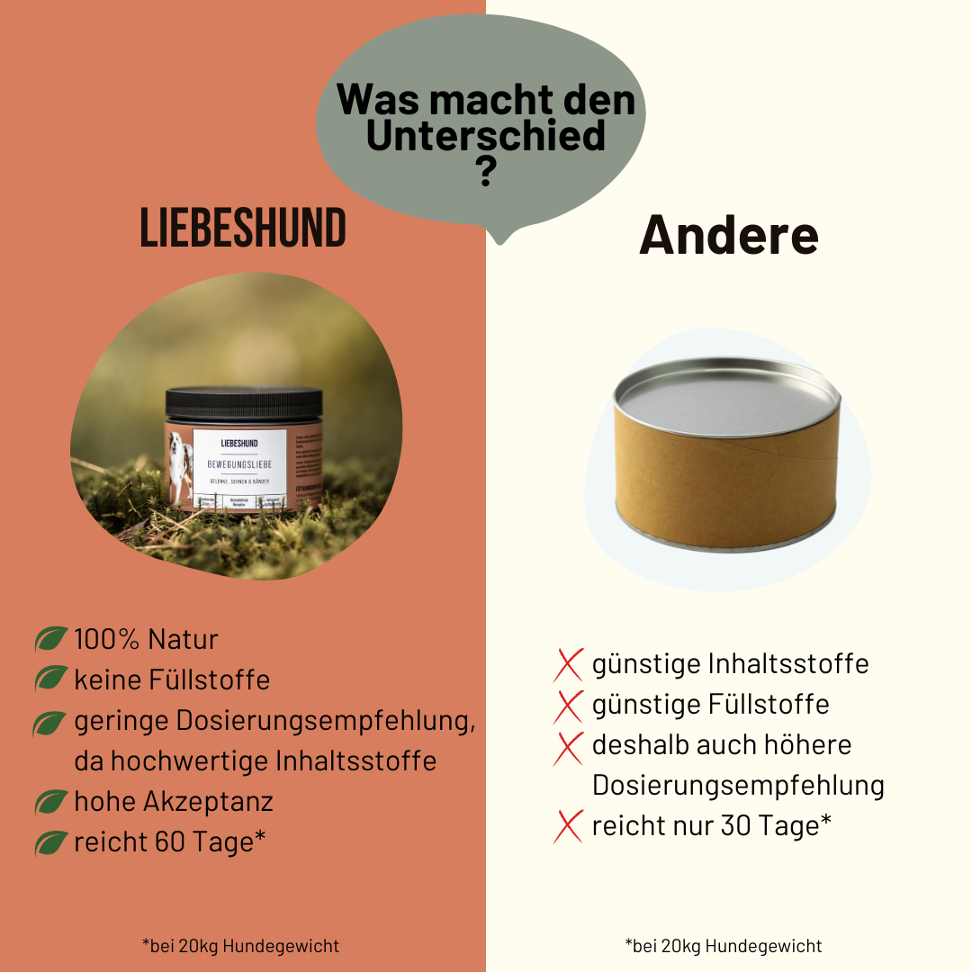 Bewegungsliebe Bundle