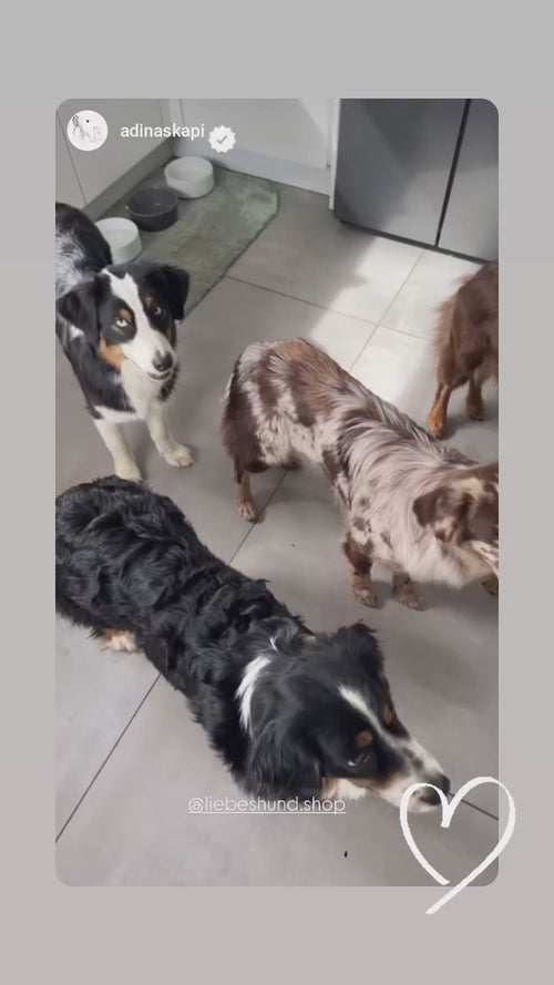 Video Vorschau