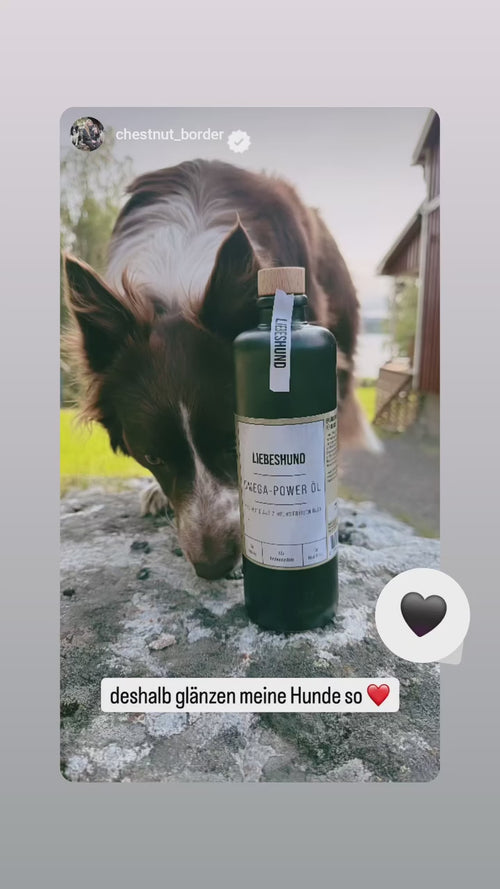 Video Vorschau