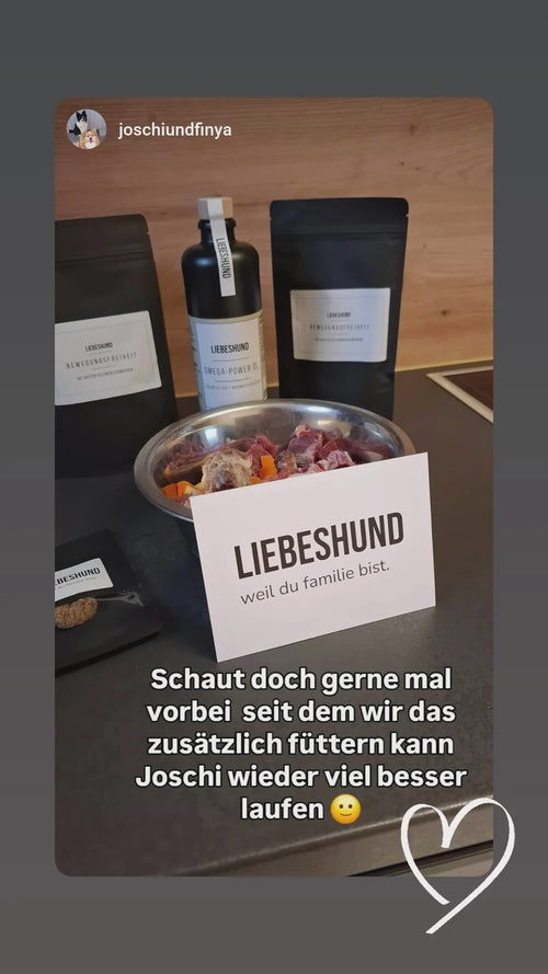 Video Vorschau